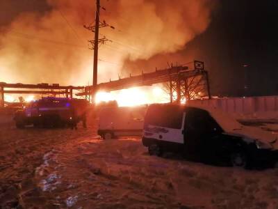Ликвидирована угроза распространения огня на пожаре во Фрязино