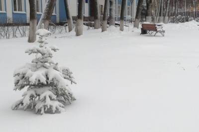 4 февраля в Смоленске слегка подморозит