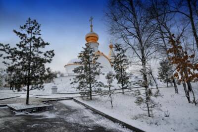 Погода в Хабаровском крае и ЕАО на 4 февраля
