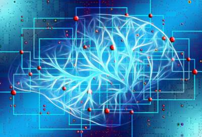 Science Advances: мозг человека воспринимает мир с 15-секундной задержкой