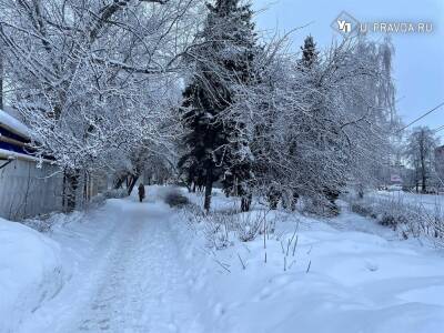 В Ульяновской области обещают снегопад, ветер и плюс