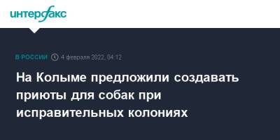 Сергей Носов - На Колыме предложили создавать приюты для собак при исправительных колониях - interfax.ru - Москва - Магаданская обл. - Магадан