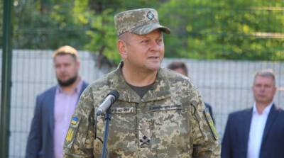 Украина пока что не планирует никаких военных операций по возвращению Крыма и Донбасса – Залужный