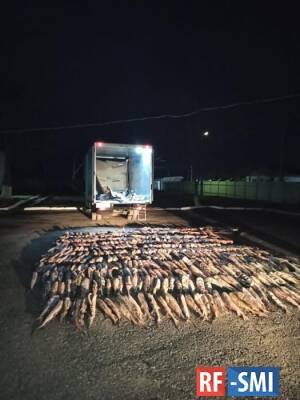 В Дагестане нашли тайник с 1,3 тоннами незаконно выловленной рыбы осетровых видов