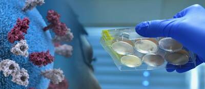 Австралийские ученые создали на базе алкотестера устройство для выявления коронавируса
