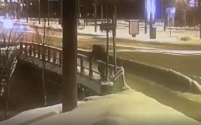 Петербуржец сократил дорогу сломав себе обе ноги — видео