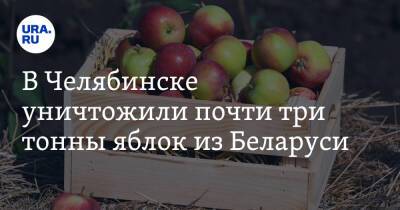 В Челябинске уничтожили почти три тонны яблок из Беларуси