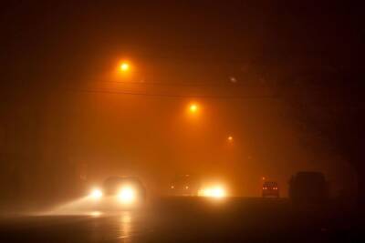 Петербуржцев предупредили о тумане и гололедице 4 февраля