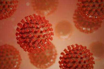 В Роспотребнадзоре рассказали, где дети рискуют заразиться коронавирусом