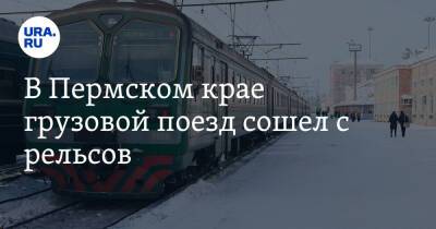 В Пермском крае грузовой поезд сошел с рельсов. Фото