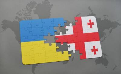 Грузия и Украина — «ущемленные страны»: интервью с Леваном Чачуа