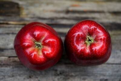 Анастасия Повторейко назвала 3 самых полезных фрукта зимой