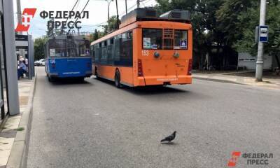 Администрация Краснодара расторгает договор с ООО «Алькор» на поставку троллейбусов