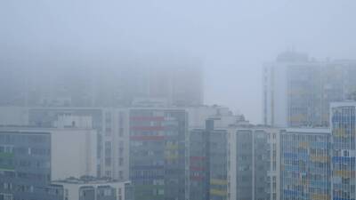 Сильный туман в Петербурге снизил видимость на дорогах до 500 метров