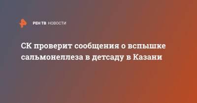 СК проверит сообщения о вспышке сальмонеллеза в детсаду в Казани