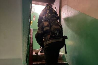 Из горящей квартиры в Новомосковске спасли 3 человека