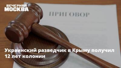 Украинский разведчик в Крыму получил 12 лет колонии