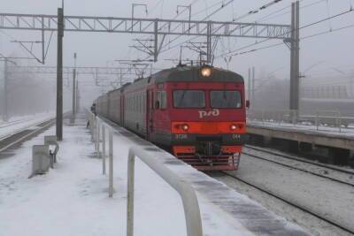 Движение пяти поездов остановили под Петербургом из-за технической неисправности