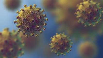 Минздрав Ливии допустил опечатку, назвав новый штамм коронавируса «макрон»