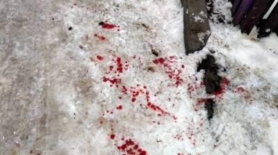 В Воронеже трое мужчин избили онкобольную женщину и расстреляли бродячих собак