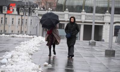 Калининградцев предупредили об усилении ветра в первые выходные февраля