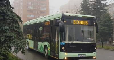 Киев закупит современные электробусы: подробности и цена