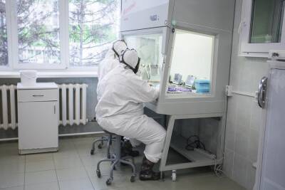 Более 1 800 случаев коронавируса выявили за сутки в Новосибирской области