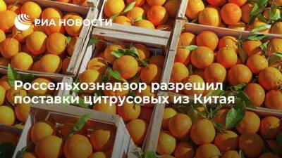 Россельхознадзор снял запрет на поставки в Россию из Китая цитрусовых культур