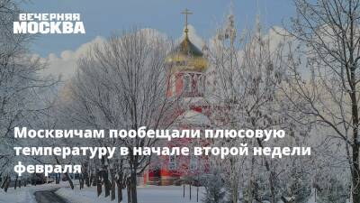 Москвичам пообещали плюсовую температуру в начале второй недели февраля