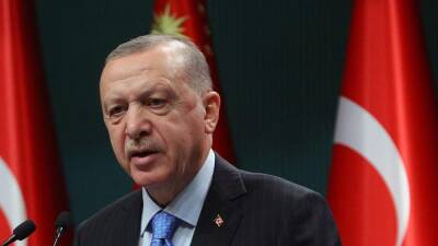 Эрдоган подтвердил готовность организовать встречу Путина и Зеленского