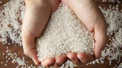 Целебный продукт: Назван простой способ превратить рис в лекарство от рака