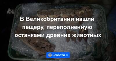 Анна Лысенко - В Великобритании нашли пещеру, переполненную останками древних животных - news.mail.ru - Англия