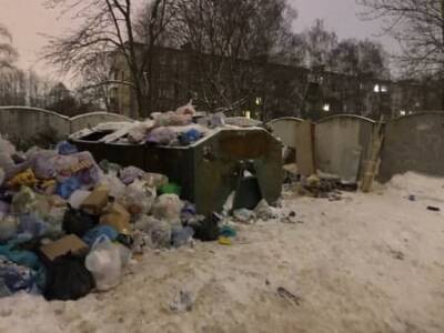 Беглову должно быть стыдно – блокадница об уборке снежных завалов в Петербурге