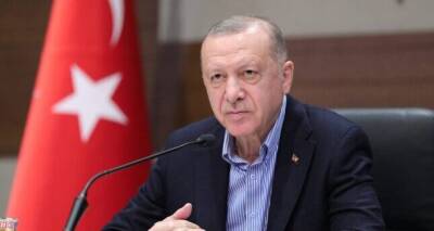 Эрдоган: Турция готова к вкладу в устранение напряженности между Украиной и Россией