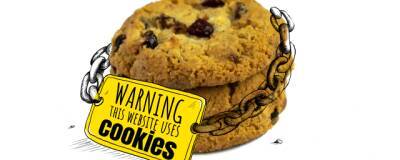 Эксперт Куровская предложила законодательно регулировать сбор cookie