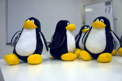 Древнейший дистрибутив Linux обновился впервые за 6 лет