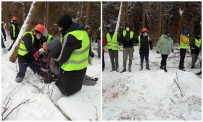 Активисты пытаются остановить вырубку Троицкого леса, где планируют строительство гигантской школы - gubdaily.ru - Москва - Троицк