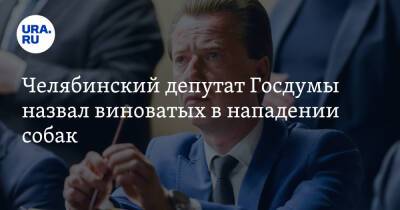 Челябинский депутат Госдумы назвал виноватых в нападении собак