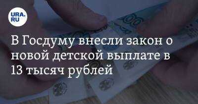 В Госдуму внесли закон о новой детской выплате в 13 тысяч рублей