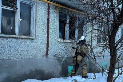В Волгоградской области пожарные спасли из огня мужчину и котенка