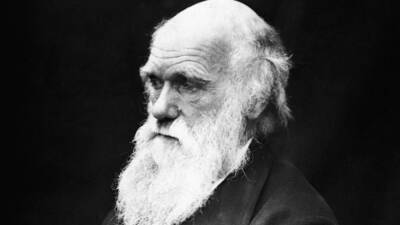 Найдено доказательство теории Лысенко, который критиковал убеждения Дарвина