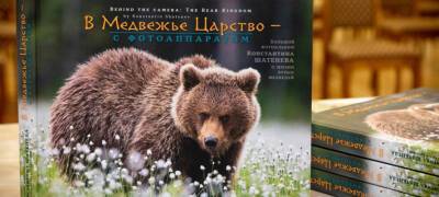 Фотоальбом про удивительную жизнь медведей вышел в Карелии