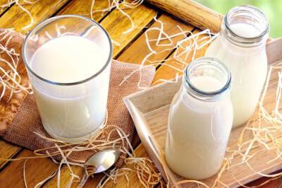 Молоко в России дорожает вслед за пальмовым маслом