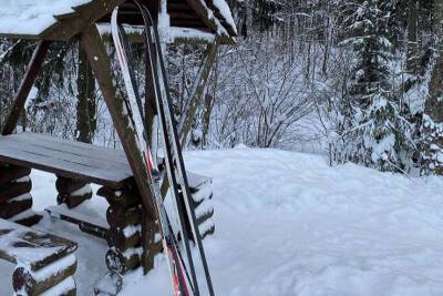 В Ленобласти составили рейтинг самых популярных лыжных маршрутов по экотропам