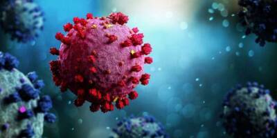 Ученые выяснили, как получить долговременную защиту от коронавируса