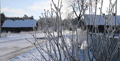 Ночные морозы, туман и потепление: синоптики рассказали о погоде в Беларуси на следующей неделе
