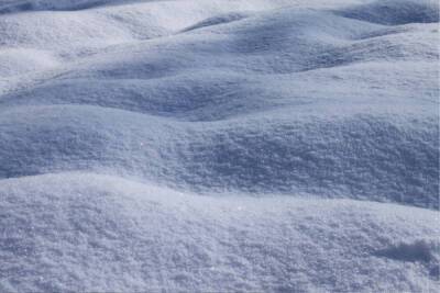 Снегопад и двадцатиградусные морозы придут в Ленобласть 5 февраля