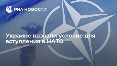 Замгенсека НАТО Джоанэ: Украина в ближайшее время не вступит в альянс