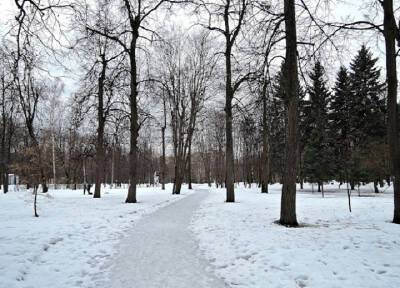 Вырванное сердце в крови, бутылку вина и конфеты нашла женщина в московском парке