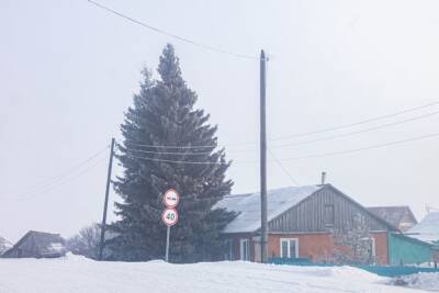 Южный ветер и - 1 градус ожидаются в Томской области 5 февраля